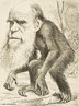 Charles Darwin foi um naturalista britnico que props uma teoria para explicar a evoluo humana. Em seu livro de 1859, A Origem das Espcies ele introduziu a ideia de evoluo a partir de um ancestral comum, por meio de seleo natural. <br><br/> Palavras-chave: relaes de culturais, biologia, teoria, evoluo.