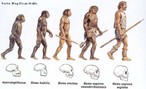 Modificaes biolgicas dos ancestrais humanos de acordo com descobertas arqueolgicas. <br><br/> Palavras-chave: evolucionismo, homindeos, pr-histria, arqueologia.