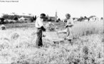 Exemplo de agricultura familiar, anos 1930.<br><br/> Palavras-chave: agricultura, relaes de produo, vida rural.